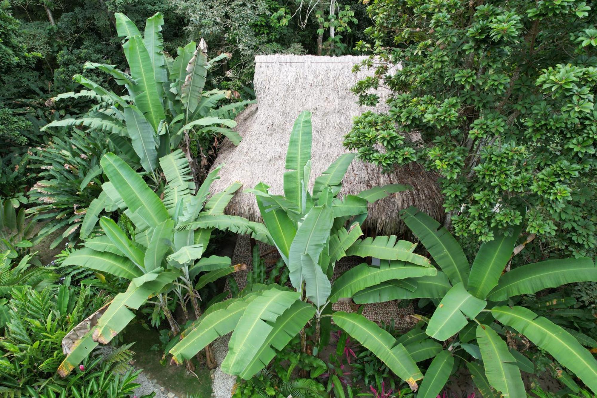 Готель Salvia Madre Guachaca Екстер'єр фото